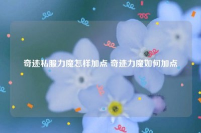 奇迹私服力魔怎样加点 奇迹力魔如何加点