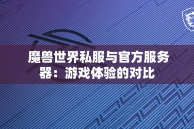 魔兽世界私服与官方服务器：游戏体验的对比