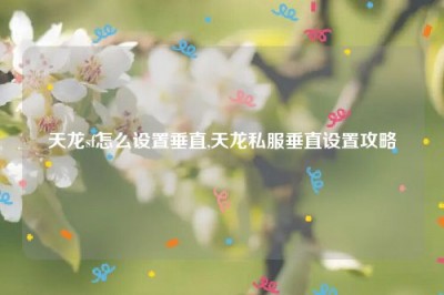 天龙sf怎么设置垂直,天龙私服垂直设置攻略