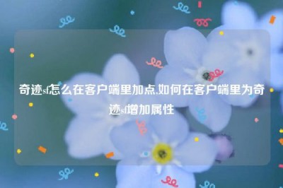 奇迹sf怎么在客户端里加点,如何在客户端里为奇迹sf增加属性