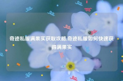 奇迹私服满果实获取攻略,奇迹私服如何快速获得满果实