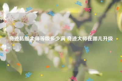 奇迹私服大师等级多少满 奇迹大师在哪儿升级