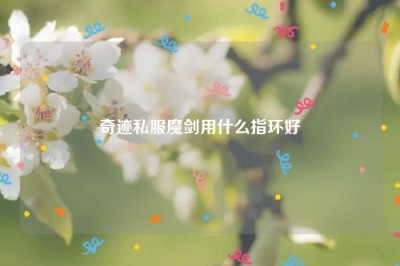 奇迹私服魔剑用什么指环好