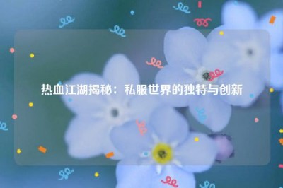 热血江湖揭秘：私服世界的独特与创新