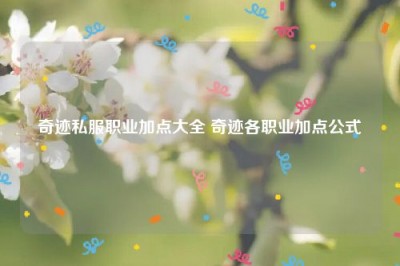 奇迹私服职业加点大全 奇迹各职业加点公式