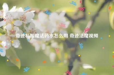 奇迹私服魔法药水怎么用 奇迹法魔视频