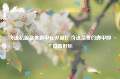 奇迹私服猛兽脚甲在哪里打 奇迹猛兽的脚甲哪个位置好刷