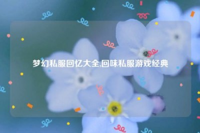 梦幻私服回忆大全,回味私服游戏经典