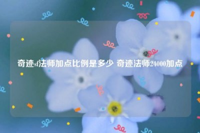 奇迹sf法师加点比例是多少 奇迹法师24000加点