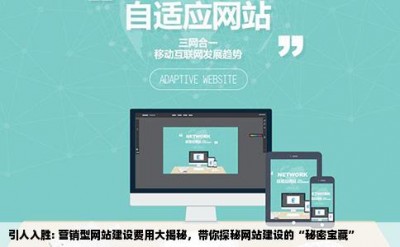 引人入胜: 营销型网站建设费用大揭秘，带你探秘网站建设的“秘密宝藏”