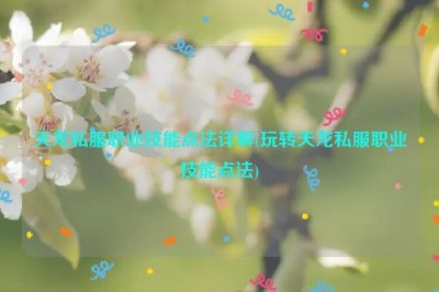 天龙私服职业技能点法详解(玩转天龙私服职业技能点法)