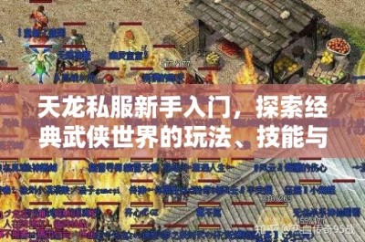 天龙私服新手入门，探索经典武侠世界的玩法、技能与升级攻略