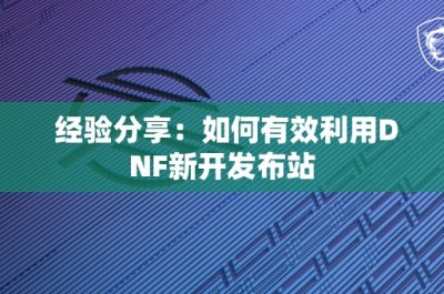 经验分享：如何有效利用DNF新开发布站