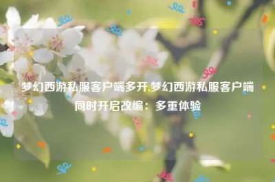 梦幻西游私服客户端多开,梦幻西游私服客户端同时开启改编：多重体验