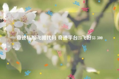 奇迹私服飞图代码 奇迹平台23飞好33 300