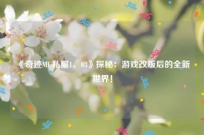 《奇迹MU私服1。03》探秘：游戏改版后的全新世界！