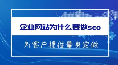 为什么我国企业建立的网站那么少？