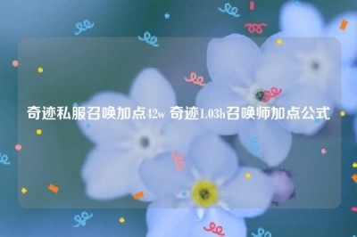 奇迹私服召唤加点42w 奇迹1.03h召唤师加点公式