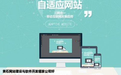 黄石网站建设与软件开发哪家公司好