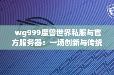 wg999魔兽世界私服与官方服务器：一场创新与传统的较量