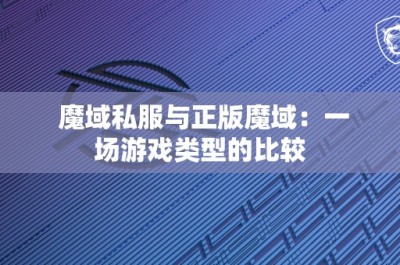 魔域私服与正版魔域：一场游戏类型的比较