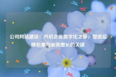 公司网站建设：开启企业数字化之旅，塑造品牌形象与业务增长的关键