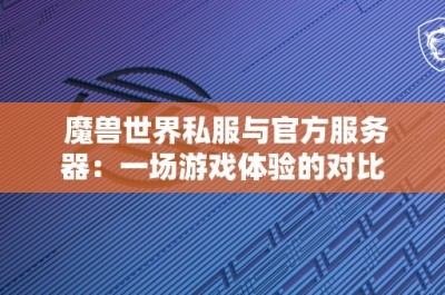 魔兽世界私服与官方服务器：一场游戏体验的对比