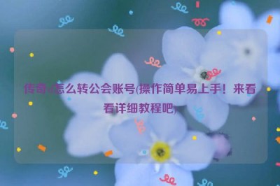 传奇sf怎么转公会账号(操作简单易上手！来看看详细教程吧)