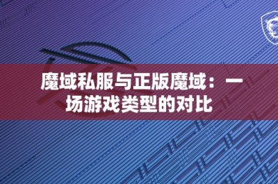 魔域私服与正版魔域：一场游戏类型的对比