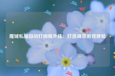 魔域私服自动打蜘蛛外挂：打造高效游戏体验