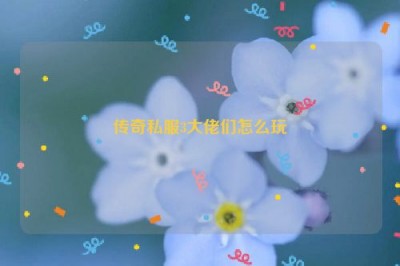 传奇私服3大佬们怎么玩