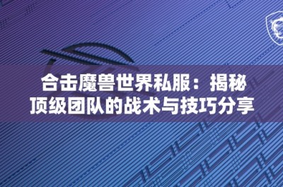 合击魔兽世界私服：揭秘顶级团队的战术与技巧分享