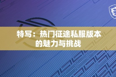 特写：热门征途私服版本的魅力与挑战