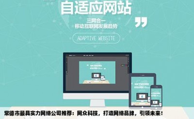 常德市最具实力网络公司推荐：网众科技，打造网络品牌，引领未来！