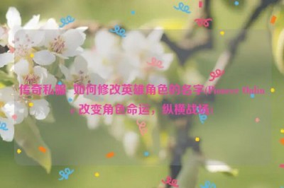 传奇私服  如何修改英雄角色的名字(Pioneer Online 改变角色命运，纵横战场)