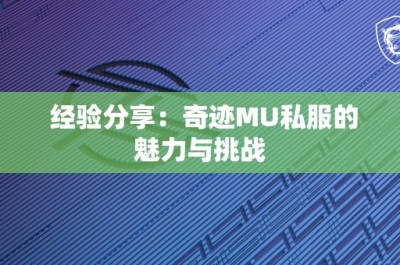 经验分享：奇迹MU私服的魅力与挑战