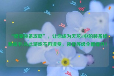 “修复装备攻略”，让你成为天龙sf中的装备修复高手(从此游戏不再浪费，装备等级全都提升！)