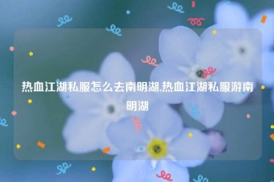 热血江湖私服怎么去南明湖,热血江湖私服游南明湖