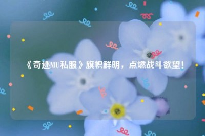 《奇迹MU私服》旗帜鲜明，点燃战斗欲望！