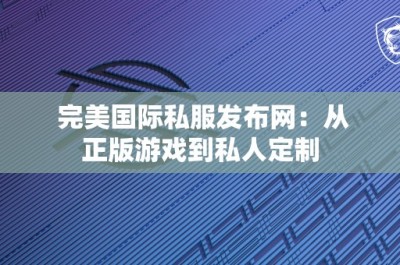 完美国际私服发布网：从正版游戏到私人定制