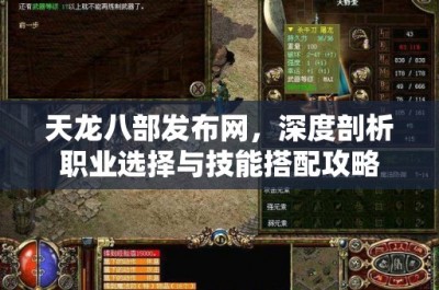 天龙八部发布网，深度剖析职业选择与技能搭配攻略