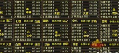 天龙私服详细分析深入解析游戏攻略与技巧