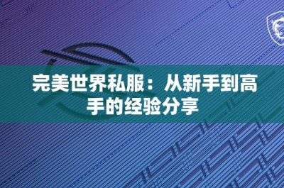 完美世界私服：从新手到高手的经验分享