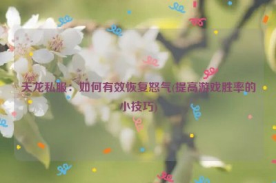 天龙私服：如何有效恢复怒气(提高游戏胜率的小技巧)