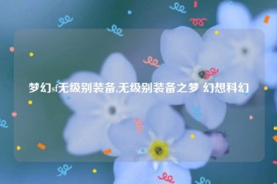 梦幻sf无级别装备,无级别装备之梦 幻想科幻