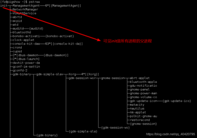 linux如何查看进程路径