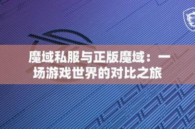 魔域私服与正版魔域：一场游戏世界的对比之旅