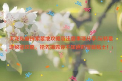 天龙私服探索墓地攻略及注意事项分享(玩转墓地秘密攻略，抢先揭露你不知道的冒险贴士！)