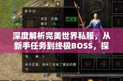 深度解析完美世界私服，从新手任务到终极BOSS，探索升级之路与职业技能的完美融合