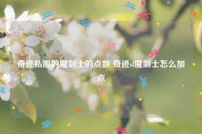 奇迹私服的魔剑士的点数 奇迹sf魔剑士怎么加点